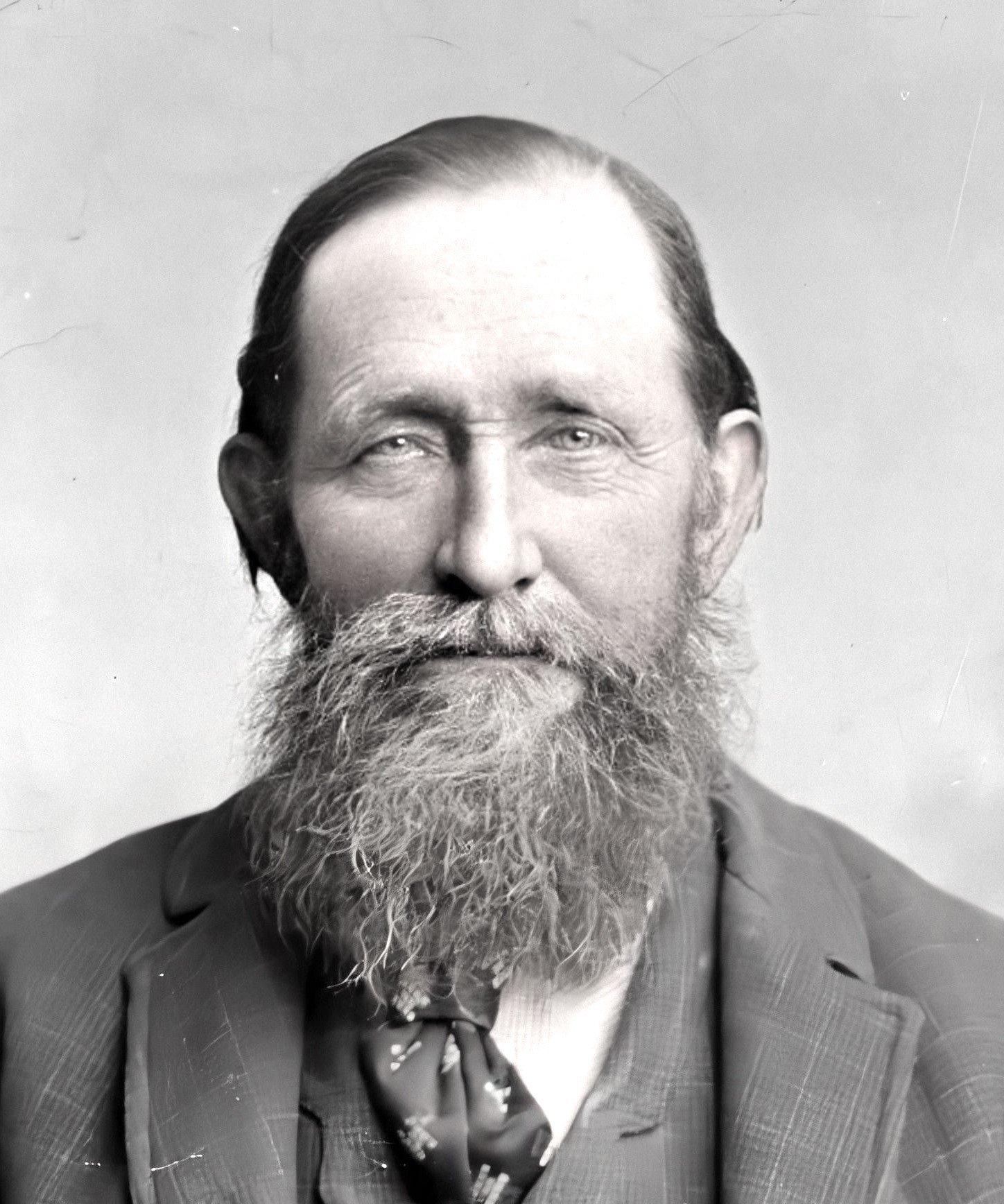 Henry Herman Oviatt (1832 - 1919) Profile